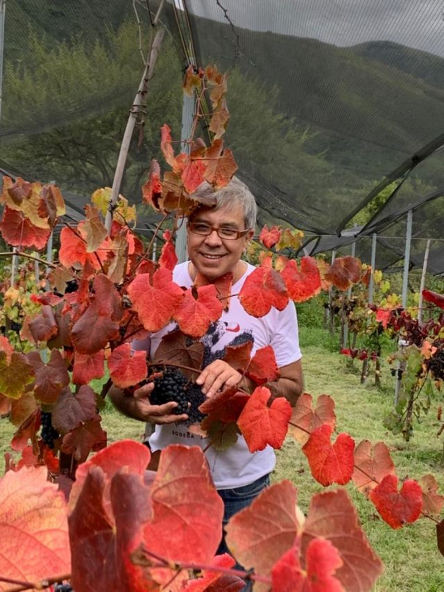 Alfonso en plena vendimia