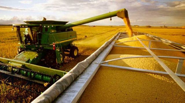 Investigan a cuatro empresas en Santa Cruz debido a que estaban acumulando maíz