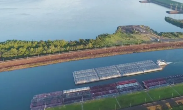 El desastre productivo en Paraguay es tan grande que este año casi no podrá exportar soja a la Argentina