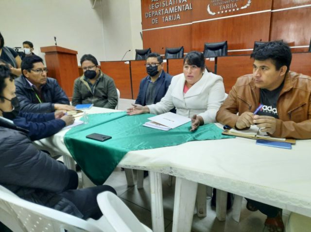 ALDT: Se ahonda la crisis, piden presencia de Montes, Evo y Oliva 