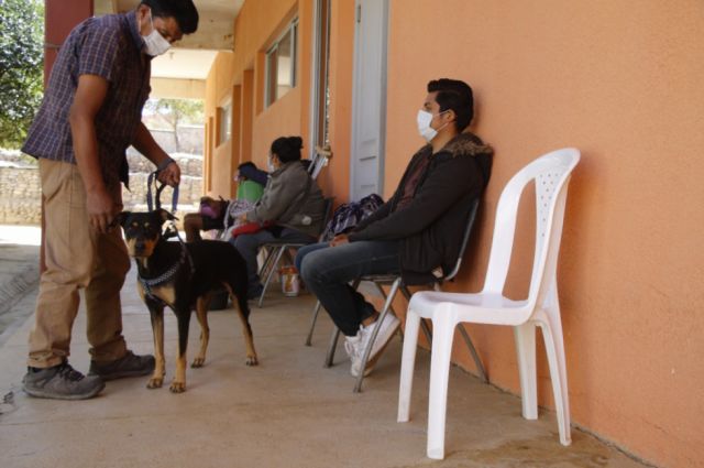 Tarija: Zoonosis esteriliza por semana hasta cien mascotas 