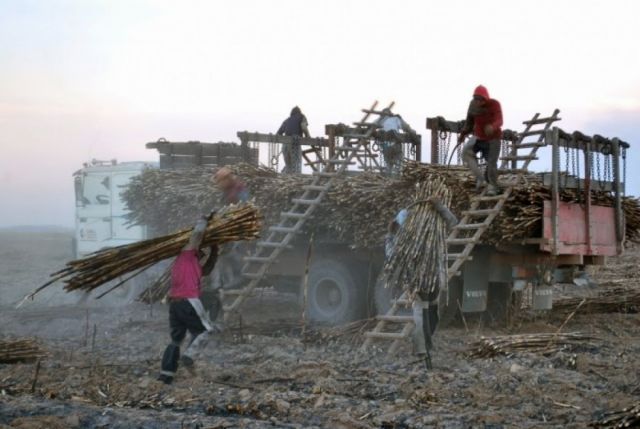 Zafra en riesgo, cañeros piden revertir el ingenio de Bermejo