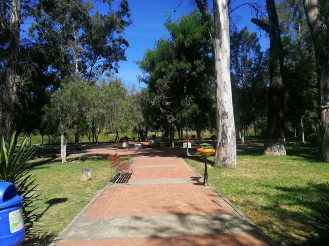 Imagenes de Tarija