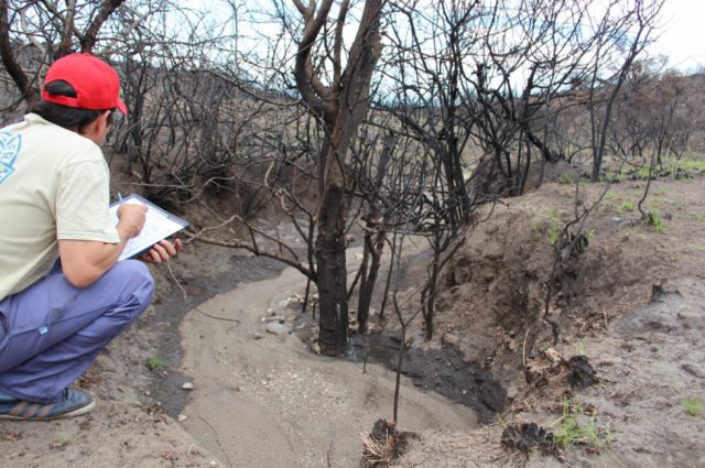 Evalúan los daños post incendio en Villa Dolores, Córdoba, en 2019