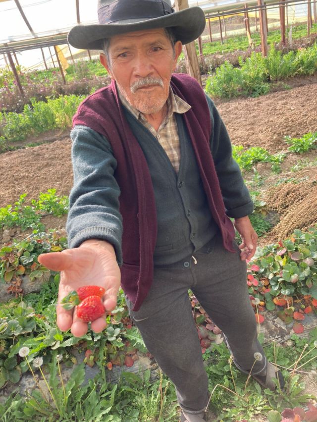 RENACC dio a conocer alternativas alimentarias sostenibles con una “Ruta Agroecológica”