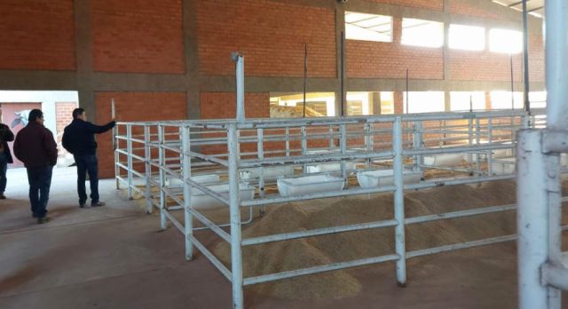Expo Villa Montes reunirá a las mejores razas bovinas del Chaco