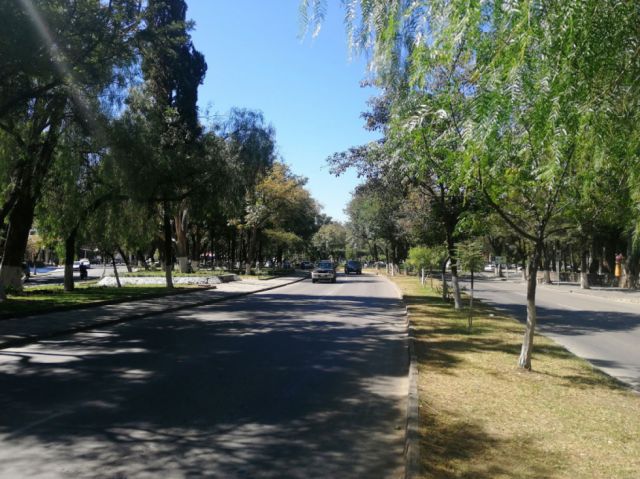 El agradable verdor de nuestra avenida principal