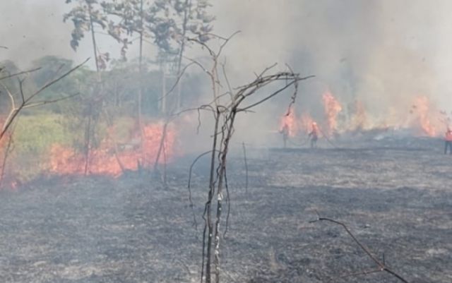 Brigadistas franceses capacitan a las FF.AA. en combate de incendios forestales
