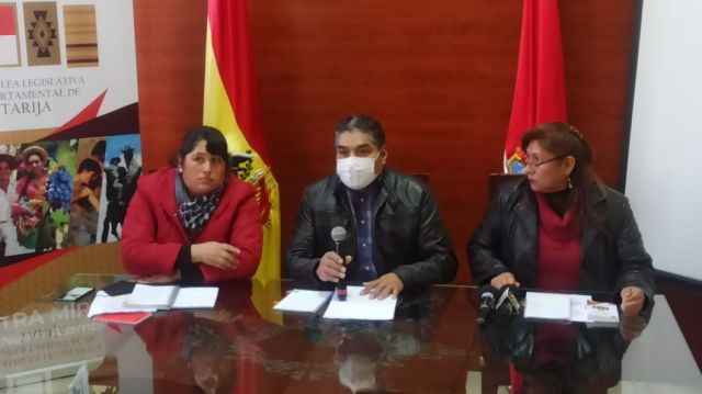 La asambleísta Zaida Laura Charca del MAS asume la presidencia de la ALDT