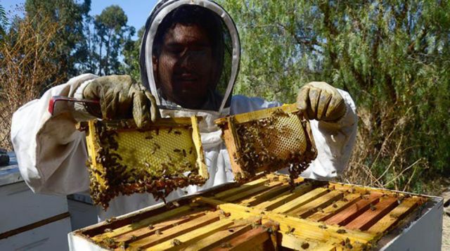 Tarija: Apicultores reciben insumos para mejorar la producción de miel