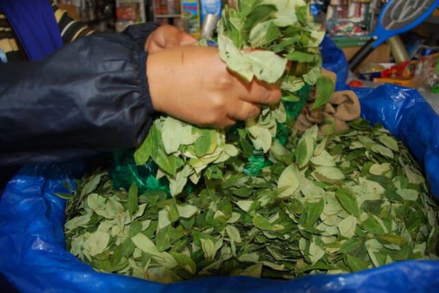 Tarija: Venta ilegal de hoja de coca preocupa a los detallistas 