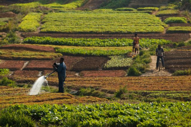 Una profunda crisis alimentaria  oculta acecha en América Latina