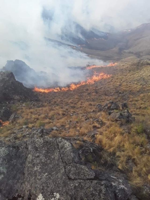 Incendio en Padcaya -Tarija continúa, movilizan a 40 efectivos del SAR para coadyuvar en tareas de sofocación