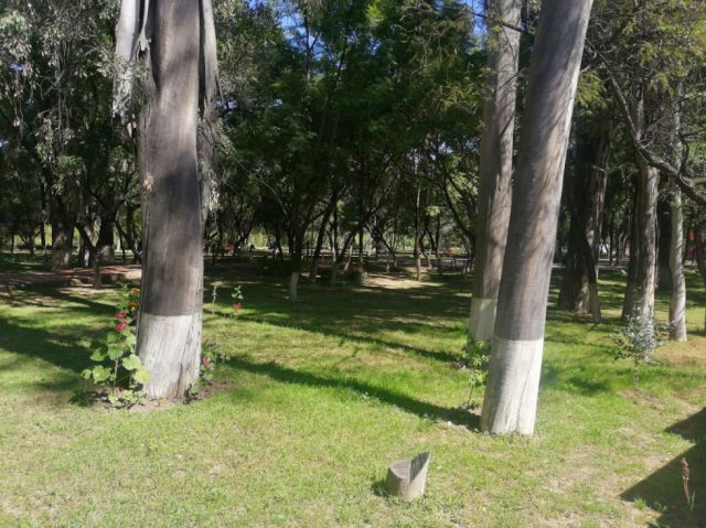 Paisajes