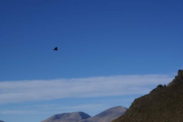 El lugar es considerado una zona de anidación y reproducción del cóndor 