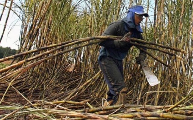 YPFB asegura gas para la zafra de Bermejo 