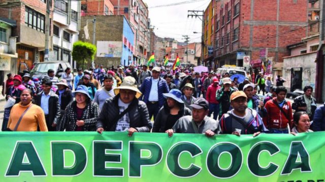 Gobierno busca frenar la tensión entre cocaleros