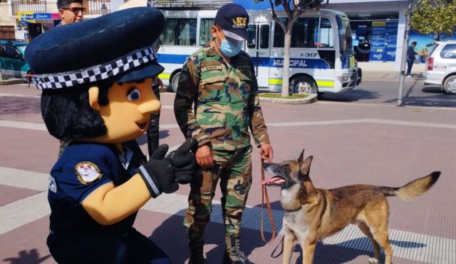 Se realizó la feria "Por una Tarija Segura"