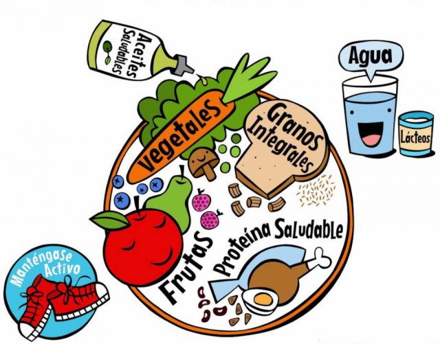 El plato de Harvard