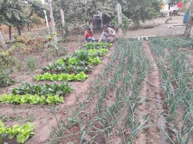 CERDET busca ampliar la producción agroecológica en el Chaco