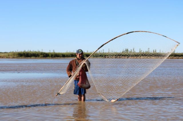 Evalúan declarar emergencia al Pilcomayo por escasez de peces  
