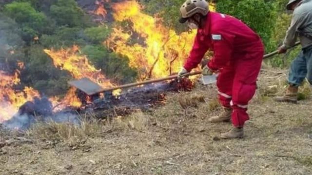 Tarija: Entre junio y julio se quemaron  10 mil hectáreas de pastizales