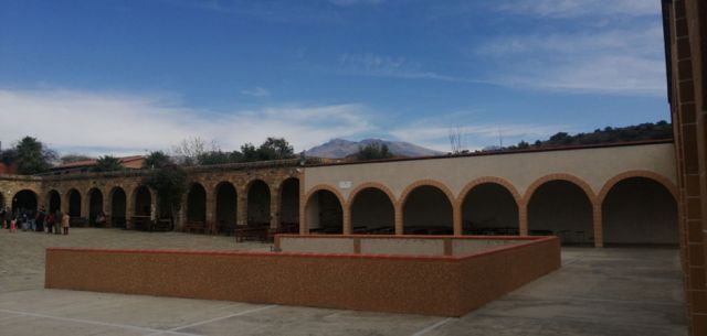 Chaguaya