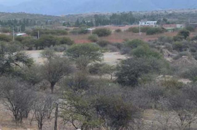 Municipio procesa a líderes de avasallamientos