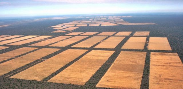Deforestación en el Gran Chaco