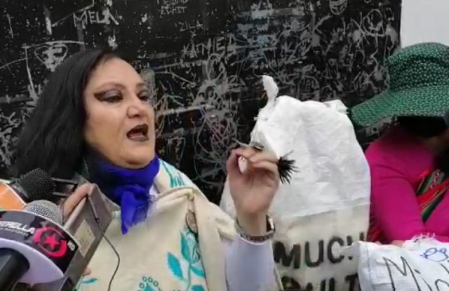 Observaciones al subsidio de lactancia reactivan protestas