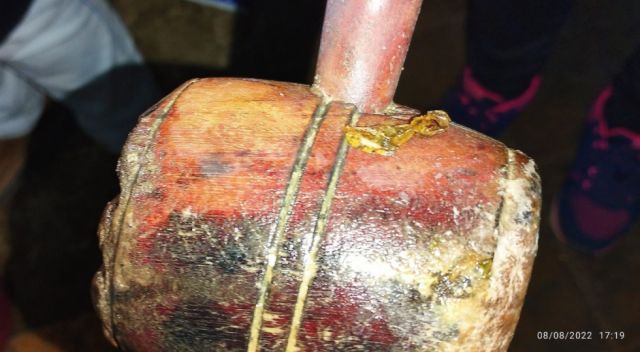 Clausuran local de comida en Tarija tras encontrar heces de roedor y cucarachas