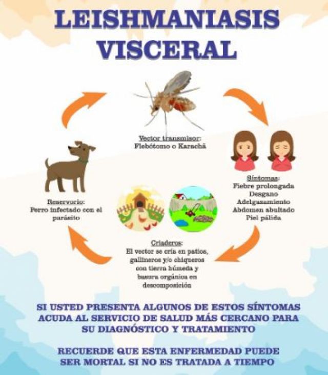 Fallecen dos menores con leishmaniasis en Villa Montes