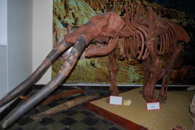 Bolivia: 4 departamentos buscan crear la ruta de los dinosaurios