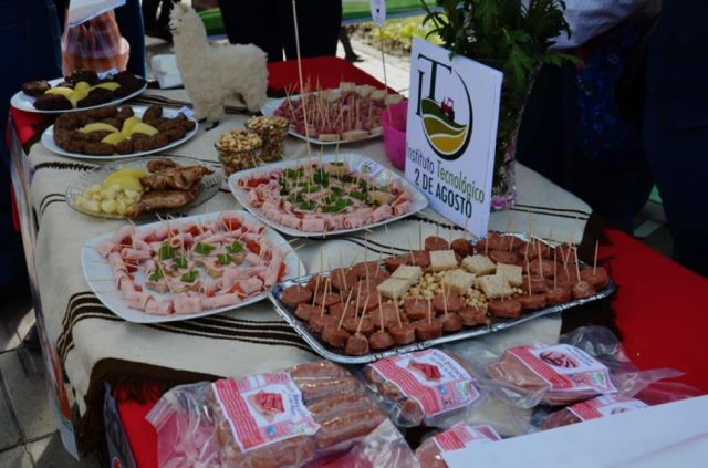 Invitan a la “Feria del Ganado Camélido” el 19 y 20 de agosto en Iscayachi