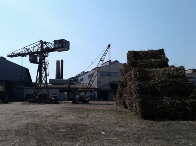 IABSA ya acopia caña, prevé procesar 300.000 toneladas 