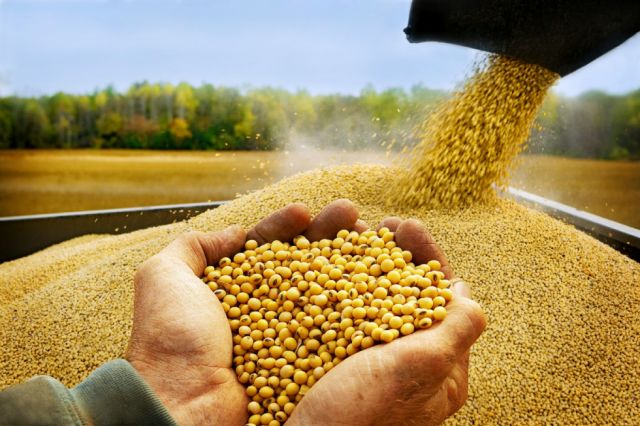 Industria manufacturera concentra el 50% de las exportaciones bolivianas al mundo