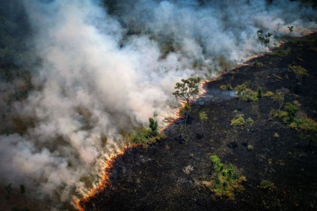 Brasil y Bolivia concentran el 90% de la deforestación y degradación de la Amazonia