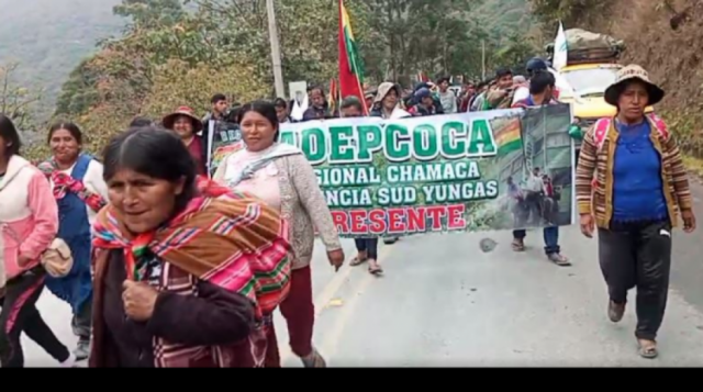 Adepcoca: Abuelas y madres con sus hijos encabezan la marcha cocalera