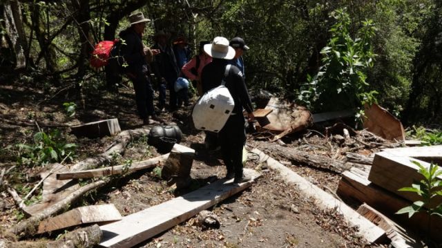 Tala de árboles en área rural moviliza al Concejo Municipal de Cercado 