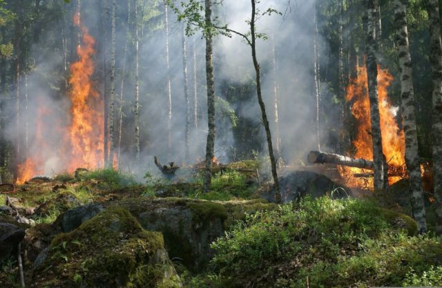 Santa Cruz registra 462 mil hectáreas quemadas