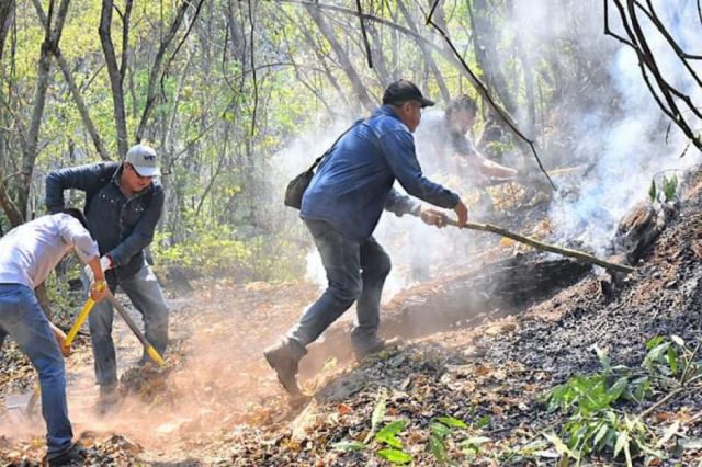 Aguaragüe: El fuego moviliza a brigadas de Argentina y Bolivia 
