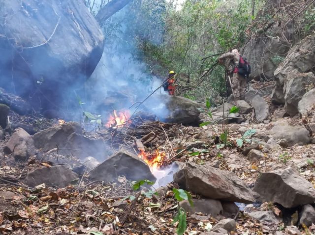 El incendio en el Aguaragüe ya arrasó con 80 hectáreas 