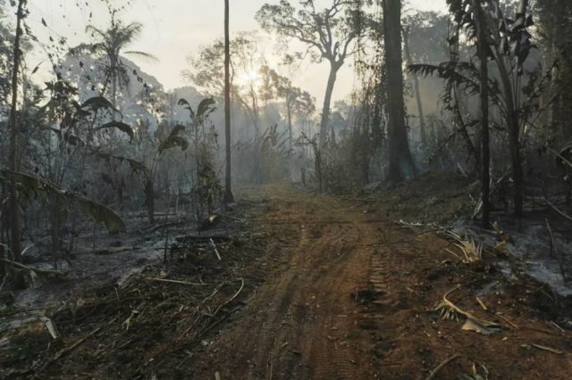 Lluvia logró apagar incendios en seis municipios cruceños, según el Gobierno
