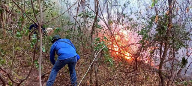 Aguaragüe: Prevén apagar el incendio en dos o tres días 