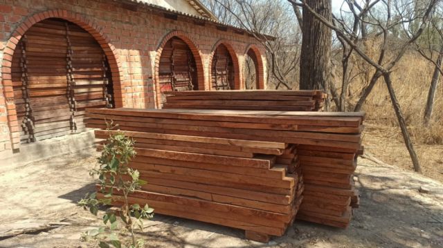 La explotación ilegal de madera afecta a 4 municipios de Tarija