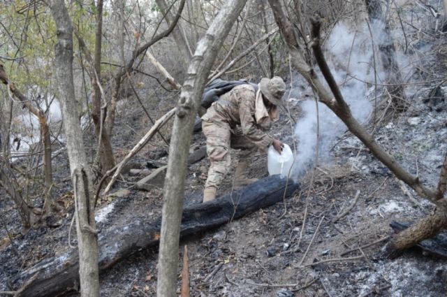 Incendio en el Aguaragüe  arrasó con más de 1.500 hectáreas de vegetación