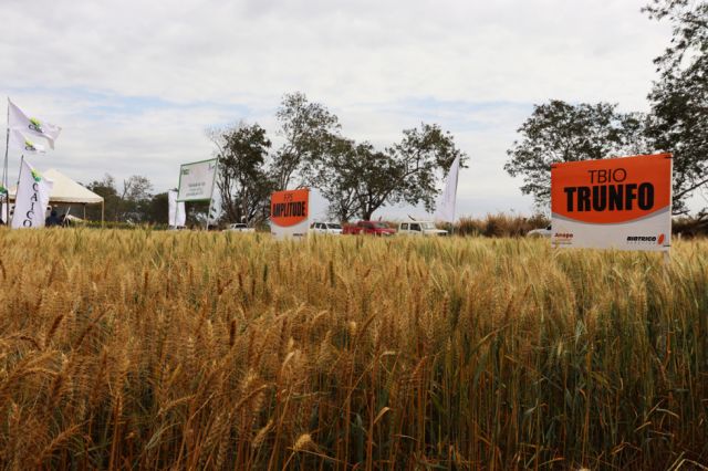 Santa Cruz batió récord en producción de alimentos con 16,4 millones de toneladas en 2021
