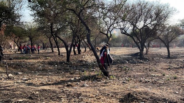 Aranjuez: Alcaldía de Tarija recupera 12 hectáreas de bosque
