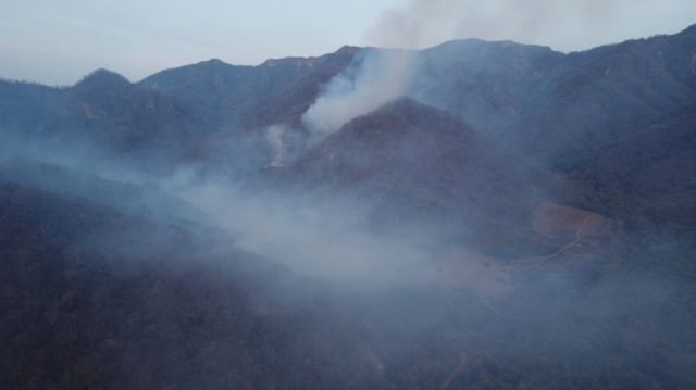 Yacuiba despliega campaña de reforestación del Aguaragüe