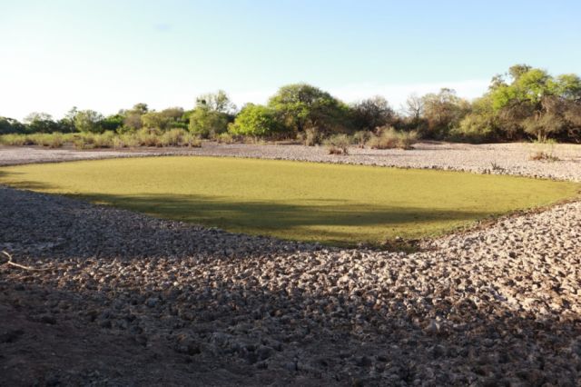 Proyectan un sistema de riego en Villa Montes 